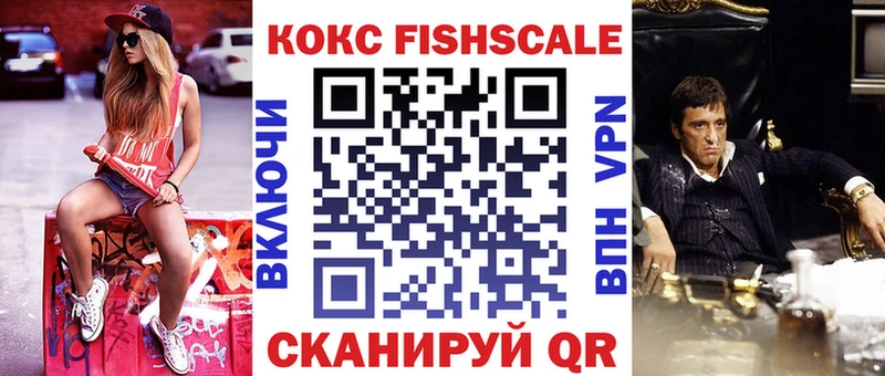 Cocaine FishScale  Купить закладки  Яровое 
