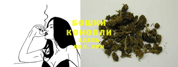 прущая мука Корсаков