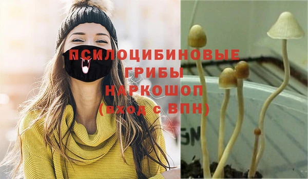 mix Костерёво