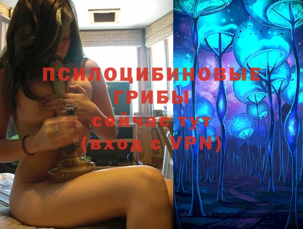 прущая мука Корсаков